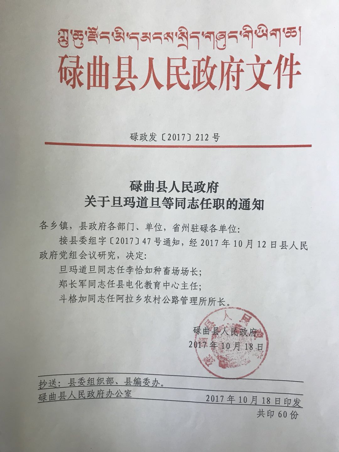 林芝地区市商务局人事任命揭晓，助力商务事业迈向新高度