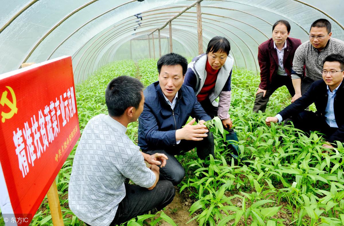 德安县特殊教育事业单位最新招聘信息解读与招聘动态速递