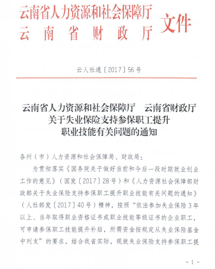 大关县人力资源和社会保障局人事任命，激发新动能，共塑未来新篇章