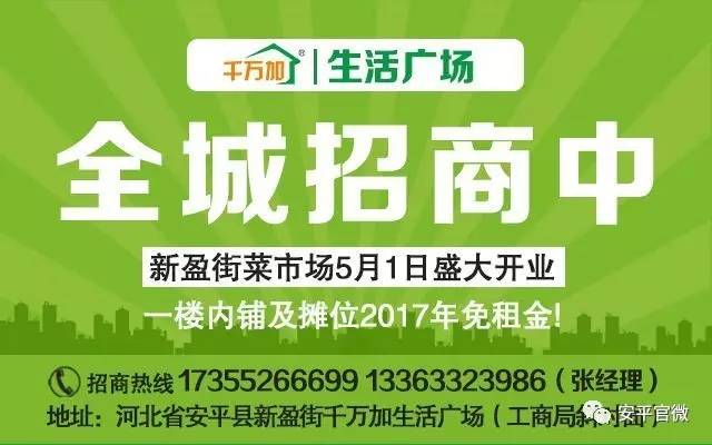 老边区人力资源和社会保障局最新招聘信息汇总