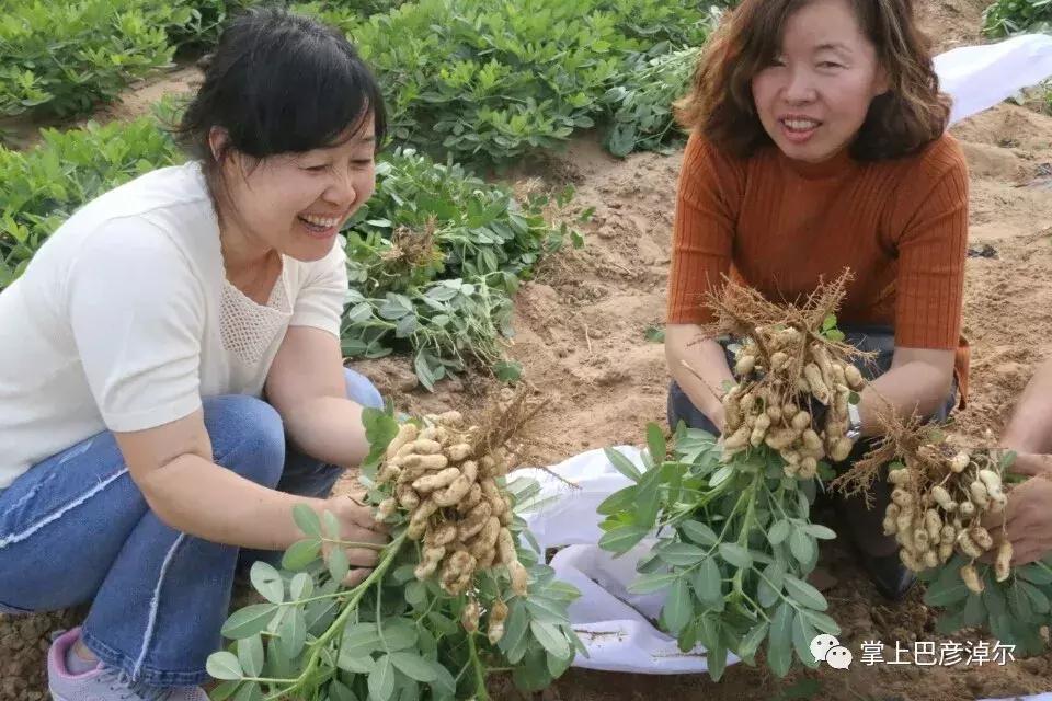 沙金套海苏木乡最新发展规划概览